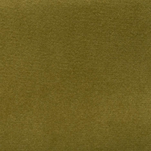 Olive Plush Velvet 