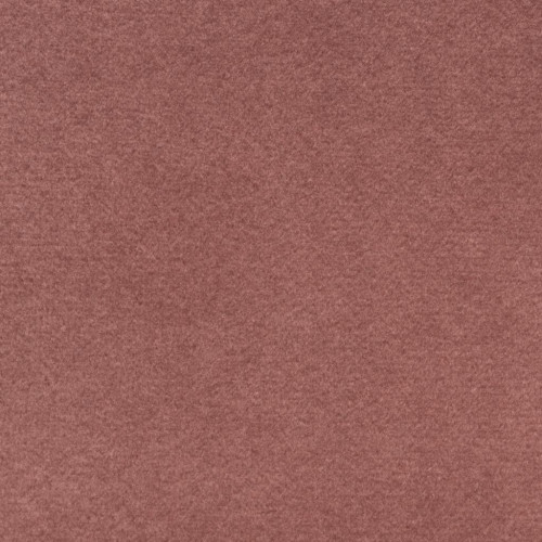 Rose Plush Velvet 
