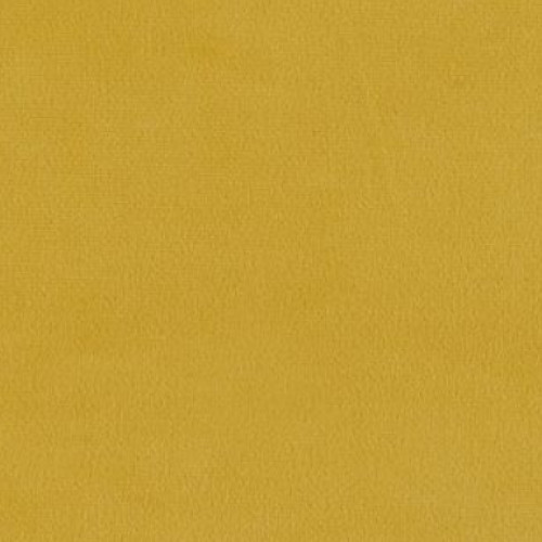 Mustard Plush Velvet 